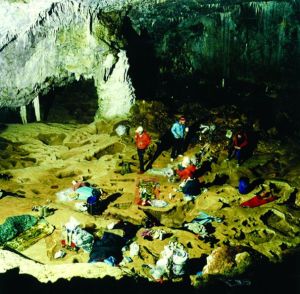 BivuacSalaPrieteniei_84