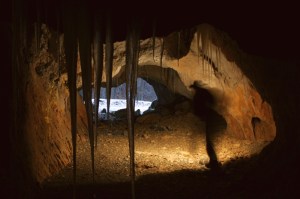 IMG_6393(((111))) resize